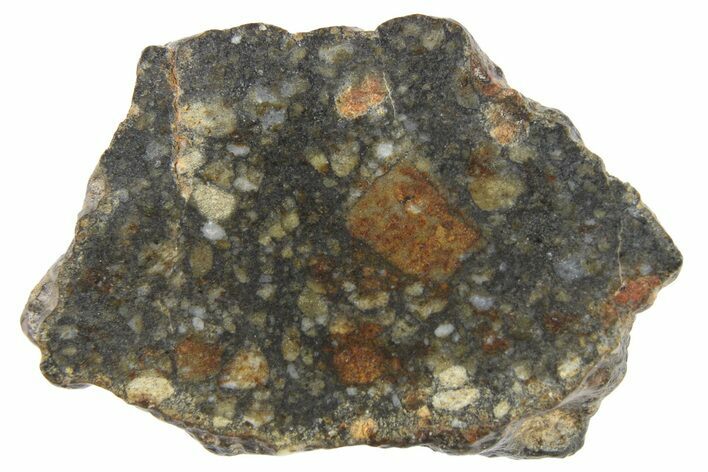 Eucrite Meteorite ( g) End-Cut - NWA #266171